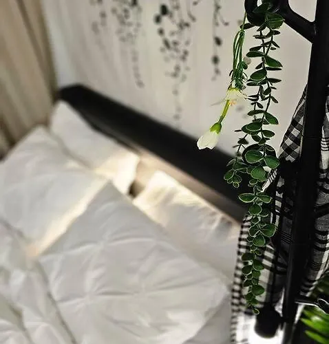 Cozy Near Hongdae & Sinchon Station 4min For Max 6